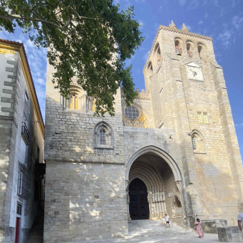 Tour Évora - prova de vinhos em adega